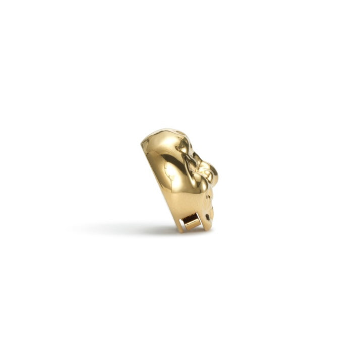 Golden Lion Button Cover