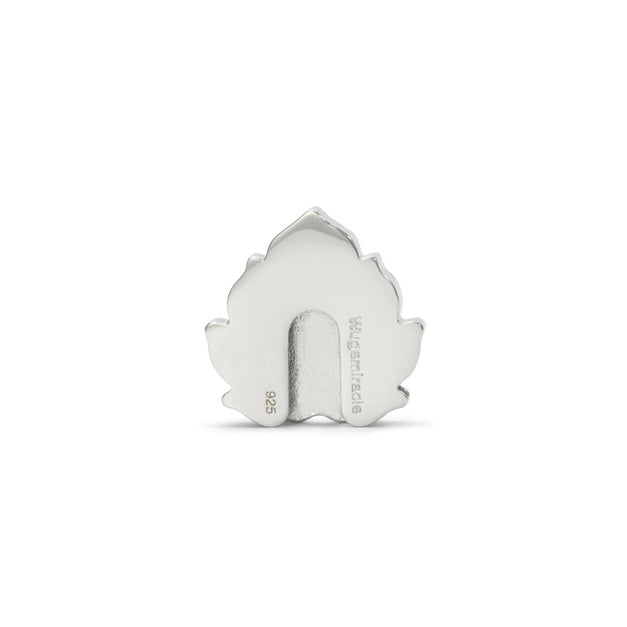 Wish Arura (Limited Edition)