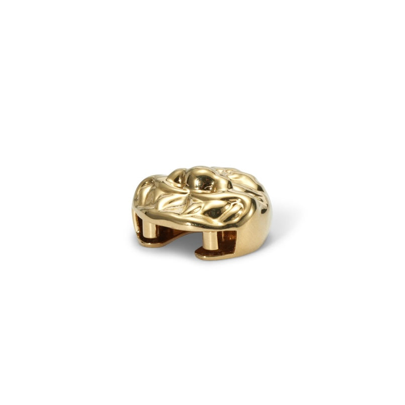 Golden Lion Button Cover