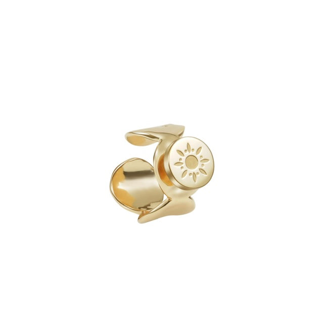 Invincible Ring Invincible Ring (G)